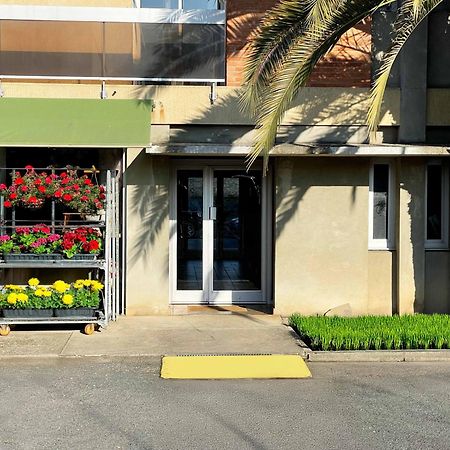 La Porte De L'Echappee Verte - Salon Exterieur & Parking Prive Albi Zewnętrze zdjęcie